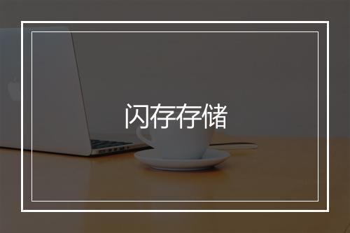 闪存存储