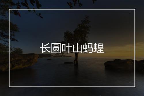 长圆叶山蚂蝗