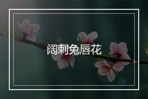 阔刺兔唇花