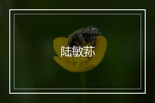 陆敏荪