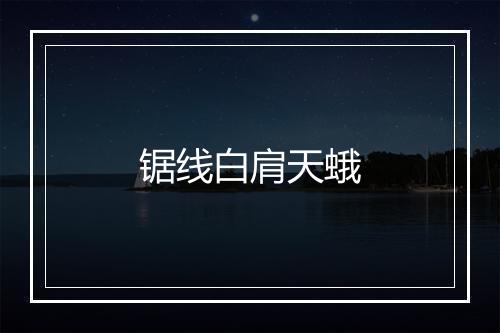 锯线白肩天蛾