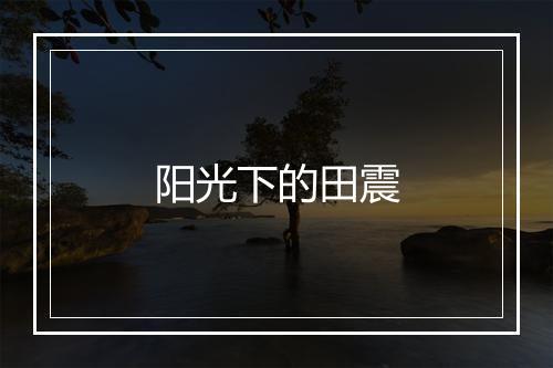 阳光下的田震