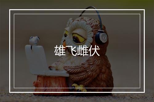 雄飞雌伏