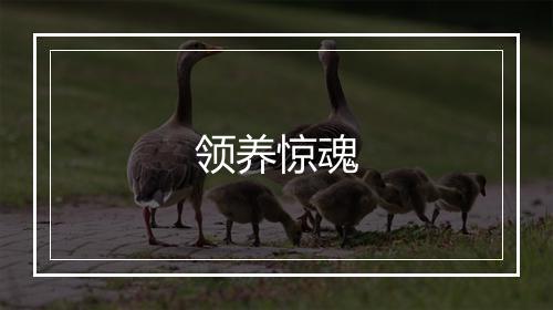 领养惊魂