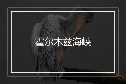 霍尔木兹海峡