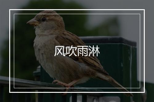 风吹雨淋