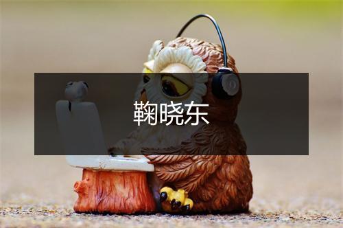 鞠晓东