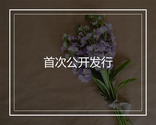 首次公开发行