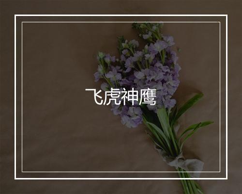 飞虎神鹰