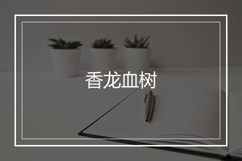 香龙血树