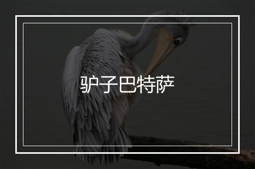 驴子巴特萨