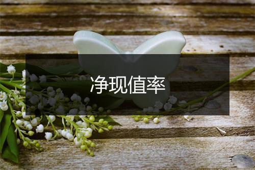 净现值率