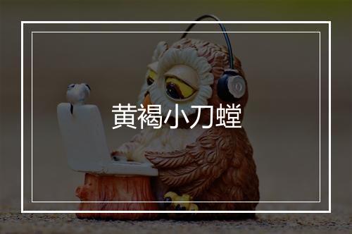 黄褐小刀螳