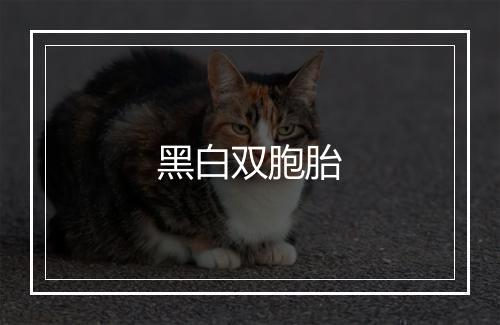 黑白双胞胎