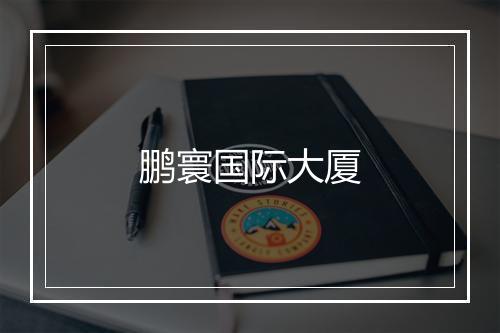 鹏寰国际大厦