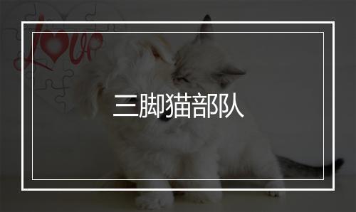 三脚猫部队