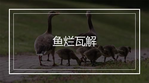 鱼烂瓦解