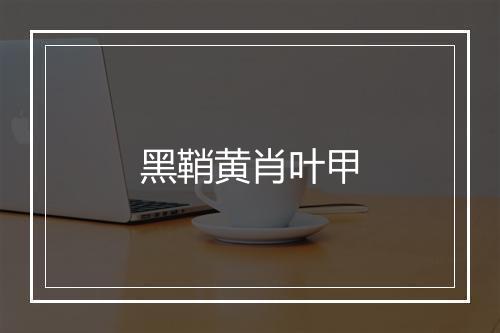 黑鞘黄肖叶甲