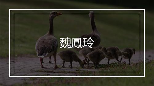 魏鳳玲