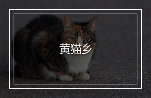 黄猫乡