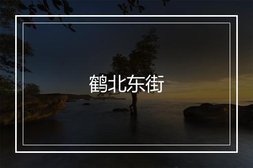 鹤北东街