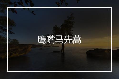 鹰嘴马先蒿