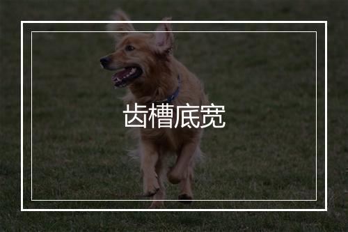 齿槽底宽