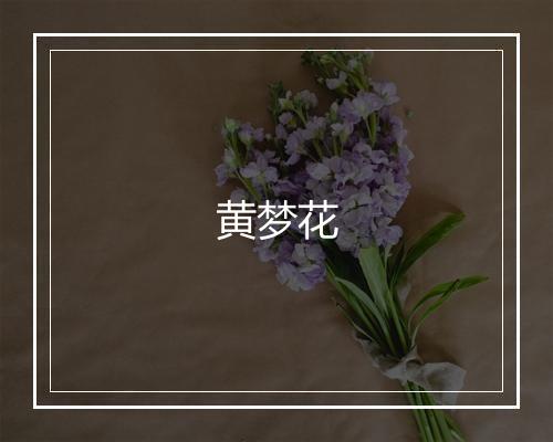 黄梦花