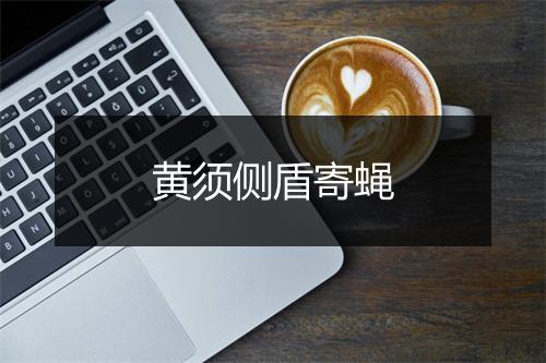 黄须侧盾寄蝇