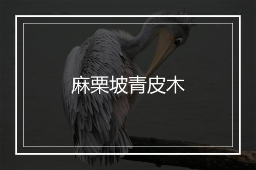 麻栗坡青皮木