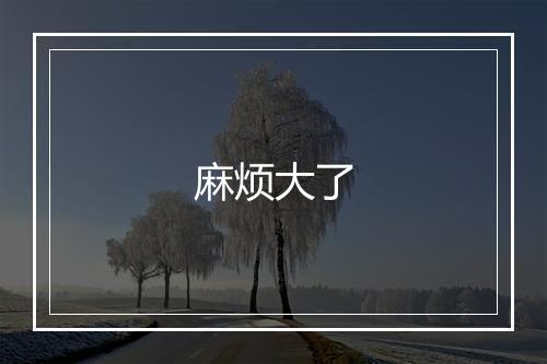 麻烦大了