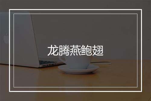 龙腾燕鲍翅