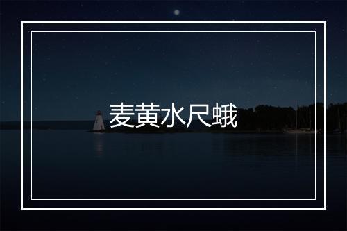 麦黄水尺蛾