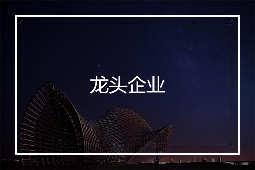 龙头企业