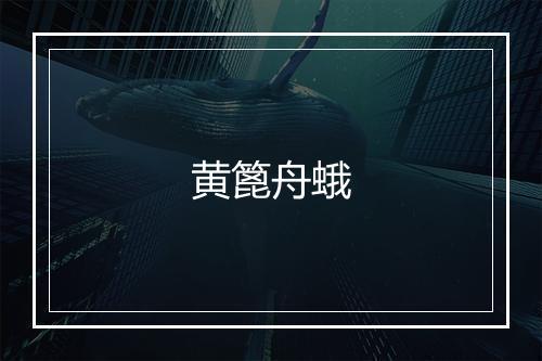 黄篦舟蛾