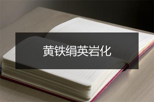 黄铁绢英岩化