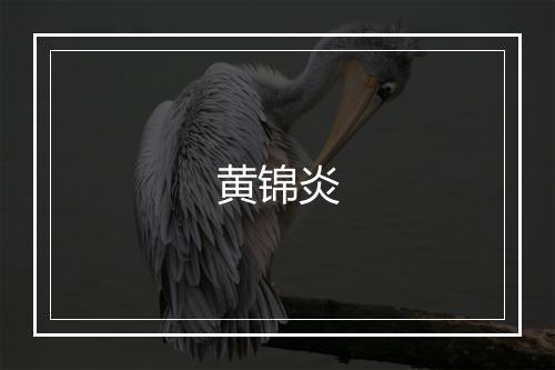 黄锦炎