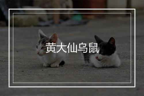 黄大仙乌鼠