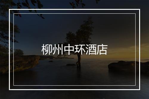 柳州中环酒店