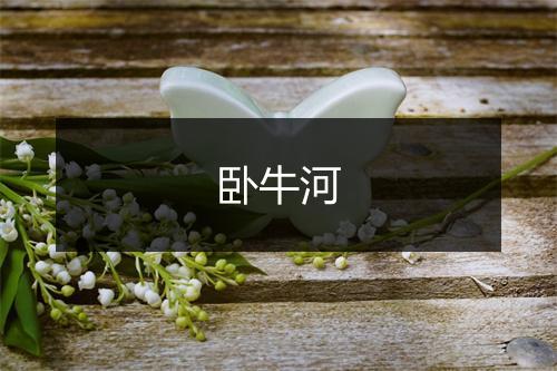 卧牛河