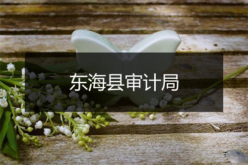 东海县审计局