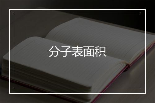 分子表面积