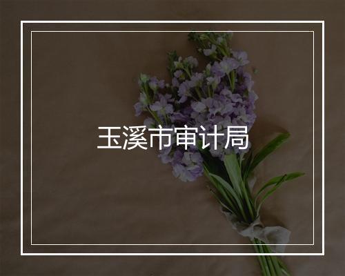 玉溪市审计局