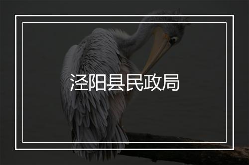 泾阳县民政局