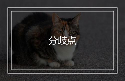 分歧点