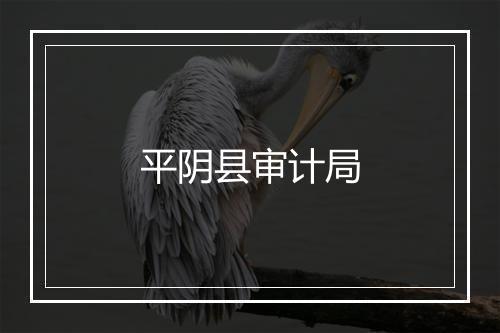 平阴县审计局