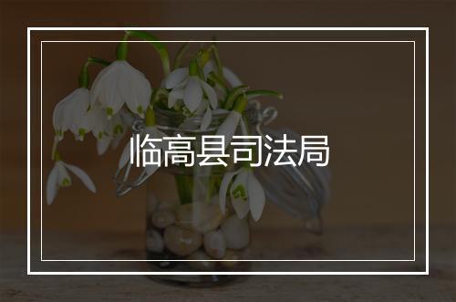 临高县司法局