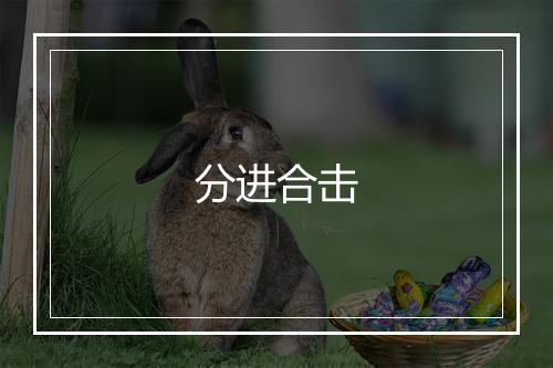 分进合击