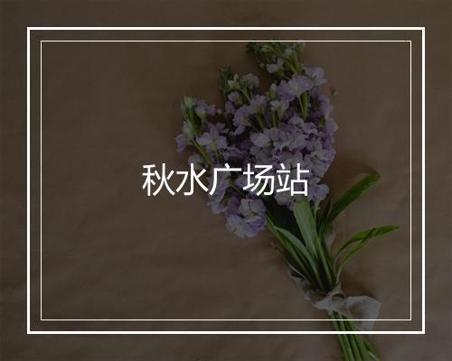 秋水广场站