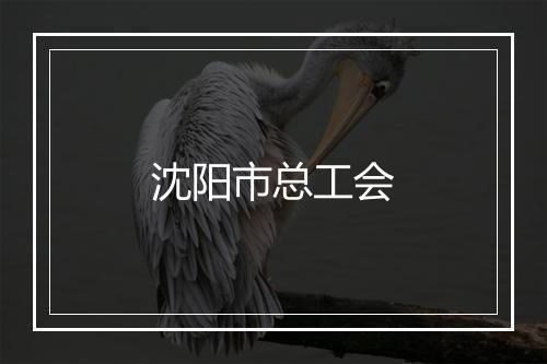 沈阳市总工会